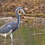 thumbs/IMG_0677.jpg